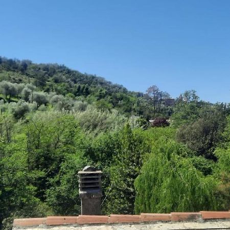 Vecchio Mulino Fontona Ortensia Chiesanuova  Εξωτερικό φωτογραφία