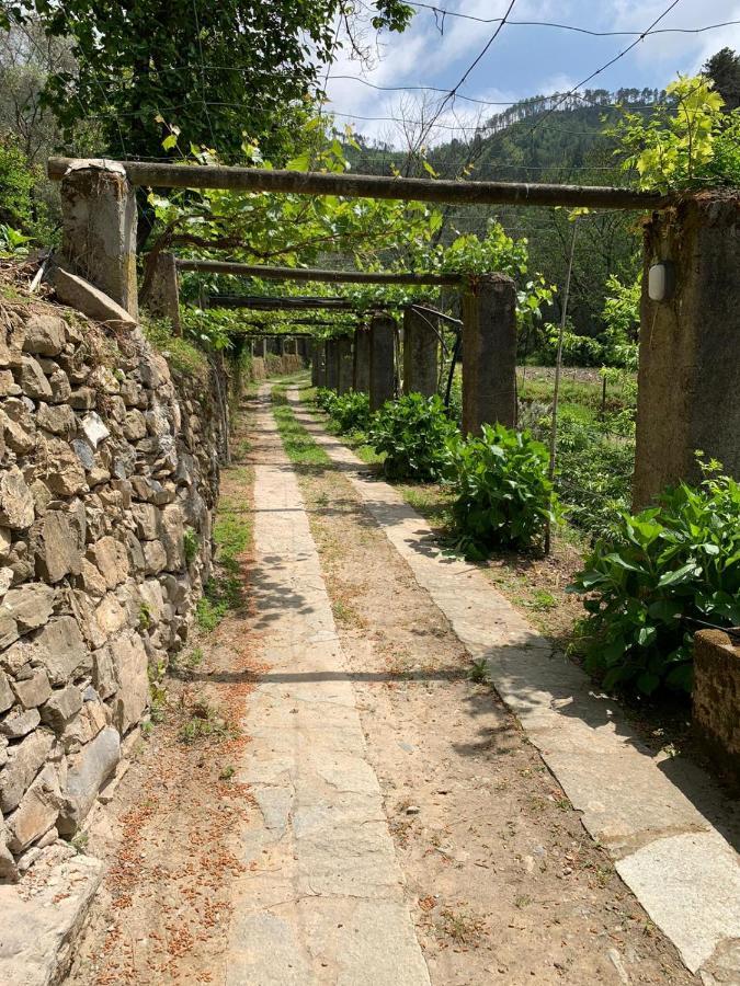 Vecchio Mulino Fontona Ortensia Chiesanuova  Εξωτερικό φωτογραφία