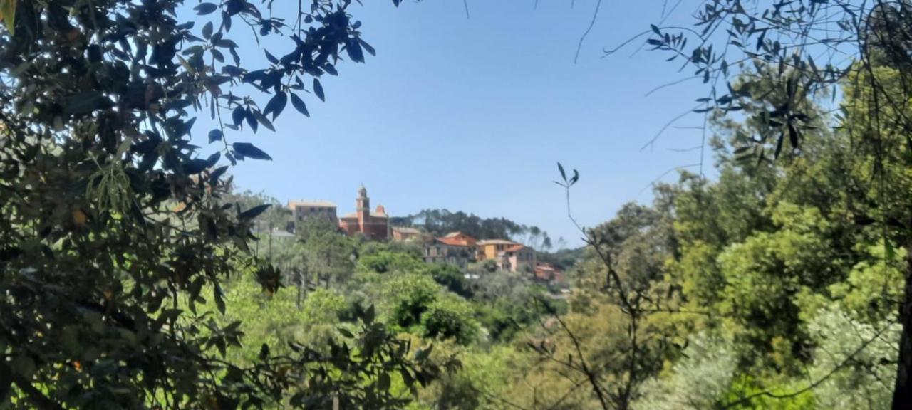 Vecchio Mulino Fontona Ortensia Chiesanuova  Εξωτερικό φωτογραφία