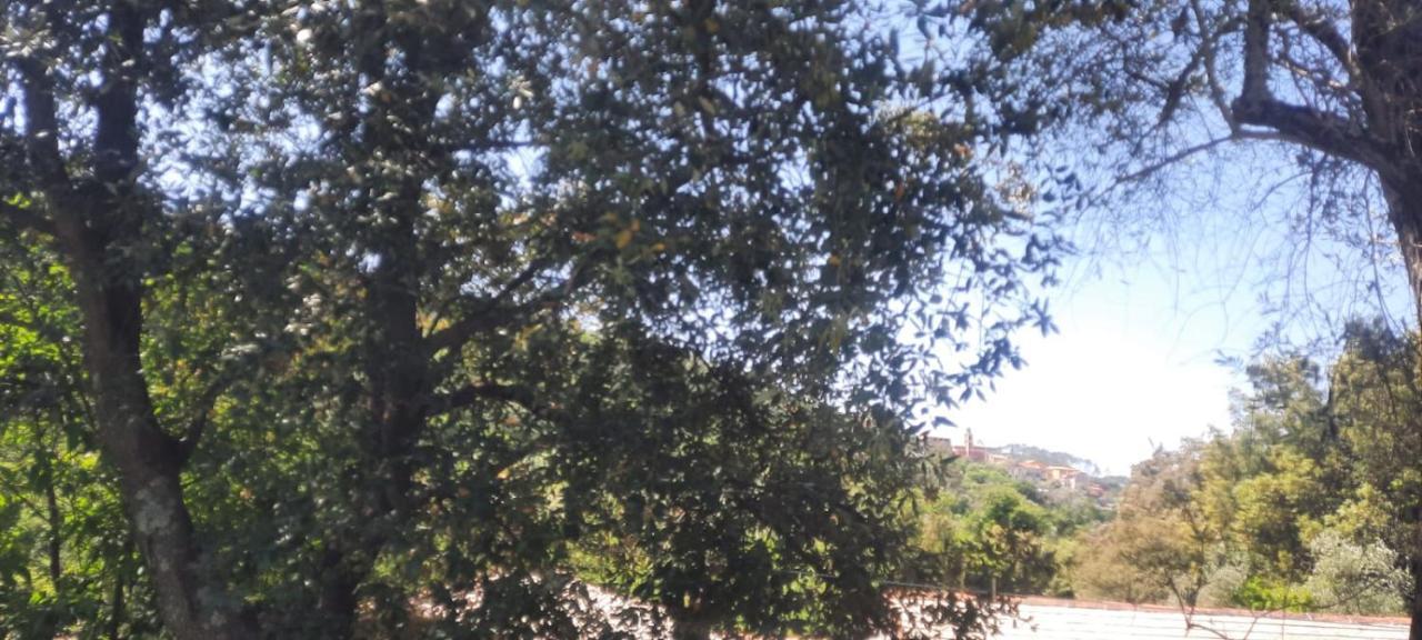 Vecchio Mulino Fontona Ortensia Chiesanuova  Εξωτερικό φωτογραφία